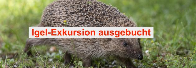 Igel-Exkursion ausgebucht